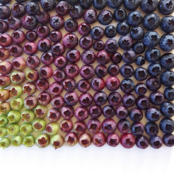 fotos-comida-ordenada-colores-foodgradients-brittany-wright (6)