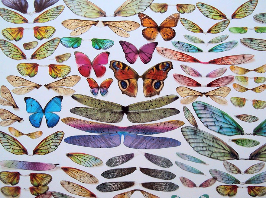 insectos-alados-componentes-electronicos-julie-alice-chappell (1)