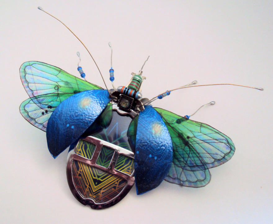 insectos-alados-componentes-electronicos-julie-alice-chappell (10)