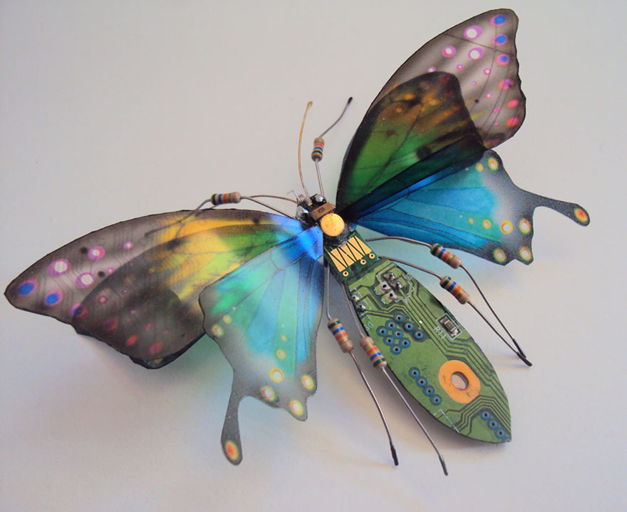insectos-alados-componentes-electronicos-julie-alice-chappell (11)