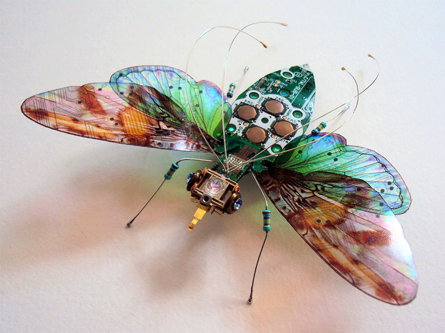 insectos-alados-componentes-electronicos-julie-alice-chappell (2)