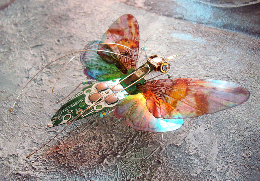 insectos-alados-componentes-electronicos-julie-alice-chappell (3)