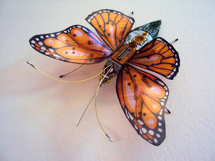 insectos-alados-componentes-electronicos-julie-alice-chappell (4)
