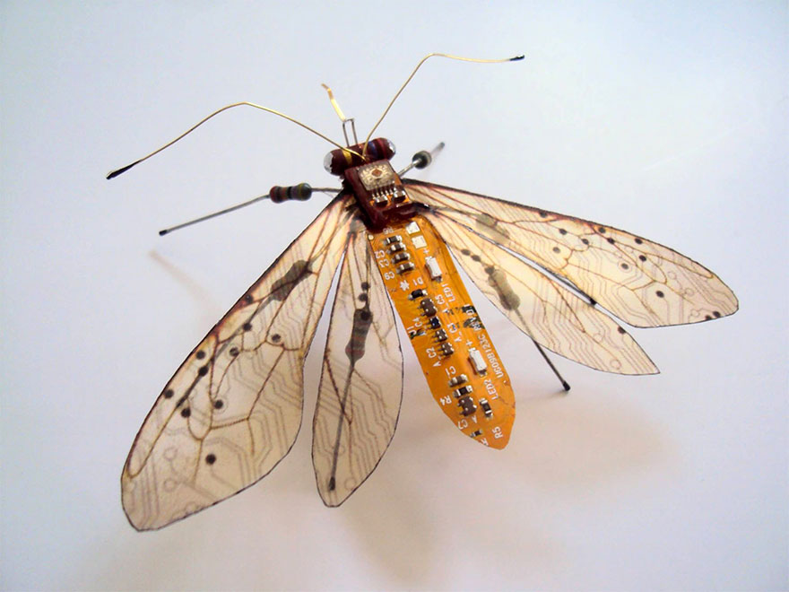 insectos-alados-componentes-electronicos-julie-alice-chappell (5)