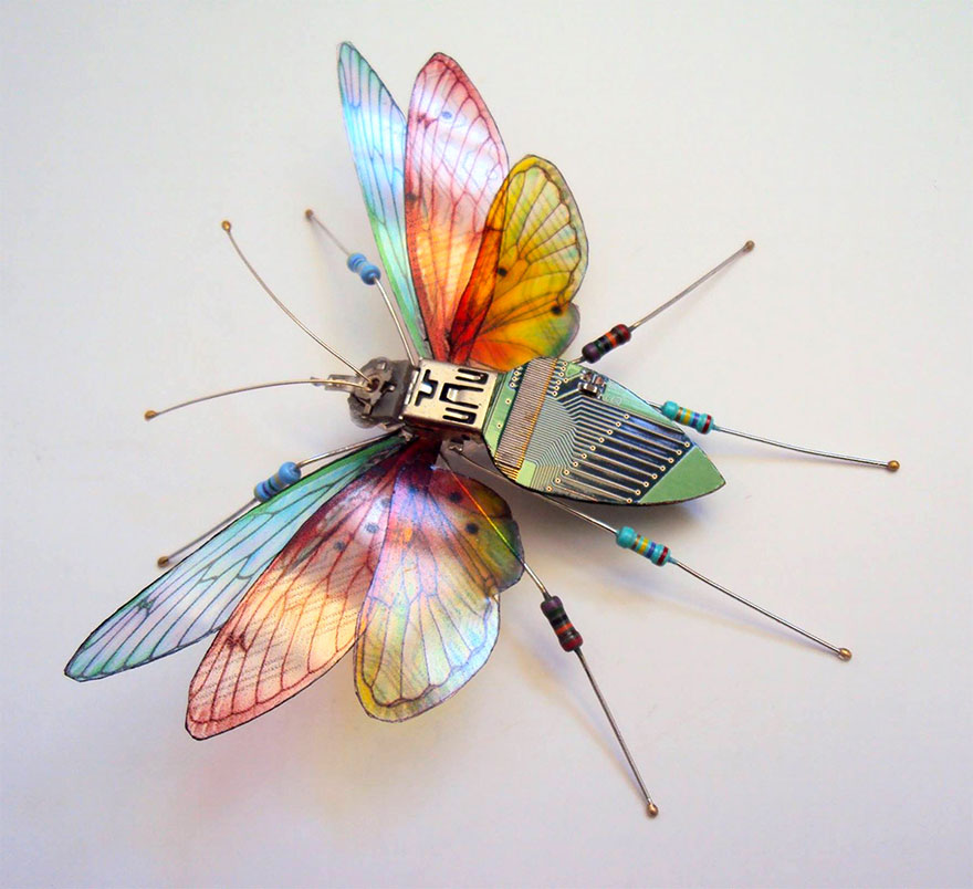 insectos-alados-componentes-electronicos-julie-alice-chappell (6)