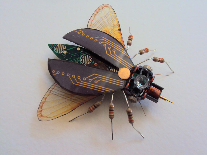 insectos-alados-componentes-electronicos-julie-alice-chappell (7)