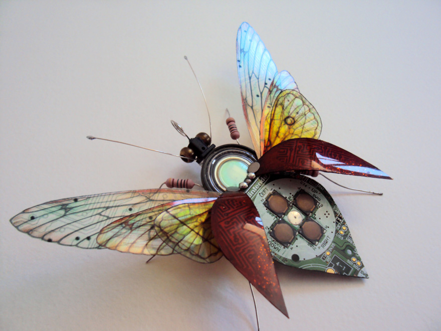 insectos-alados-componentes-electronicos-julie-alice-chappell (8)