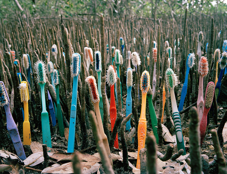instalaciones-artisticas-basura-playa-sian-kaan-alejandro-duran-mexico (3)
