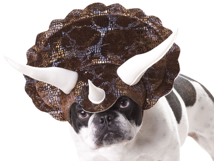perro-disfraz-dinosaurio-triceratops (1)