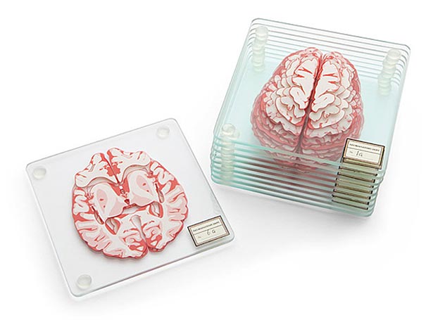 posavasos-especimen-cerebro-thinkgeek (2)