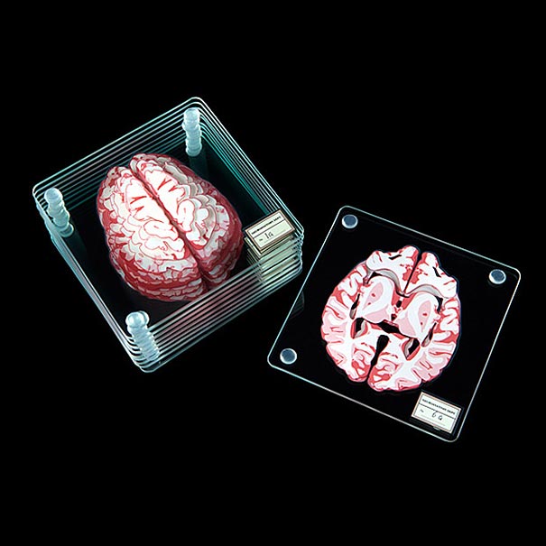 posavasos-especimen-cerebro-thinkgeek (3)