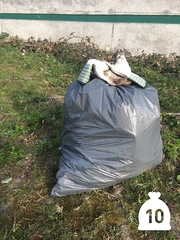 proyecto-recoger-basura-diariamente-pigswegetwhatpigsdeserve-holanda (10)