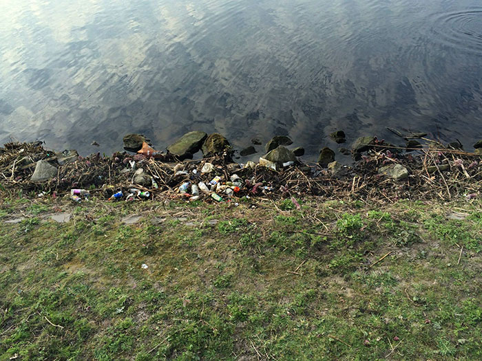 proyecto-recoger-basura-diariamente-pigswegetwhatpigsdeserve-holanda (12)