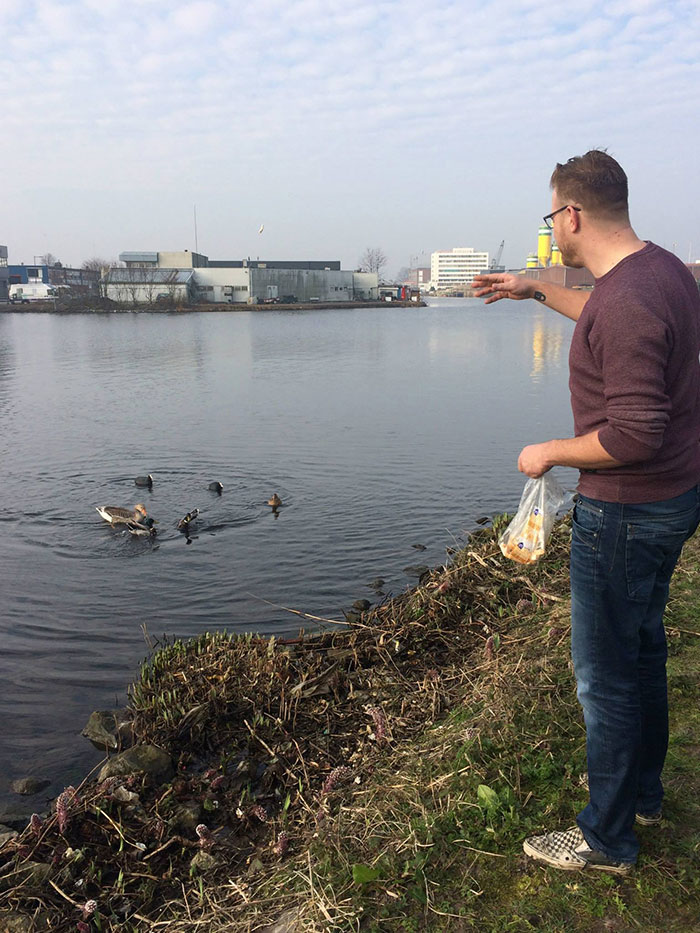 proyecto-recoger-basura-diariamente-pigswegetwhatpigsdeserve-holanda (13)