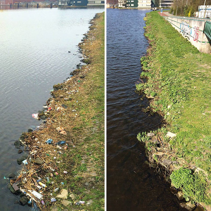 proyecto-recoger-basura-diariamente-pigswegetwhatpigsdeserve-holanda (19)
