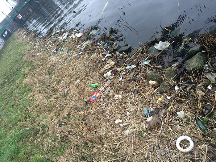 proyecto-recoger-basura-diariamente-pigswegetwhatpigsdeserve-holanda (2)