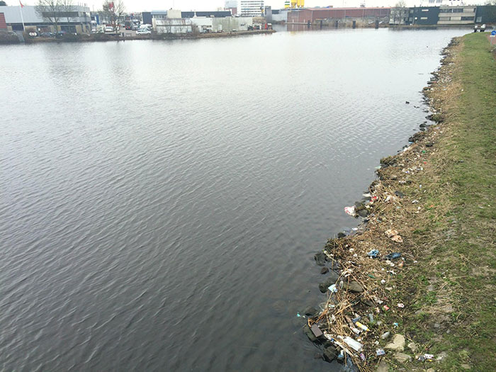 proyecto-recoger-basura-diariamente-pigswegetwhatpigsdeserve-holanda (5)