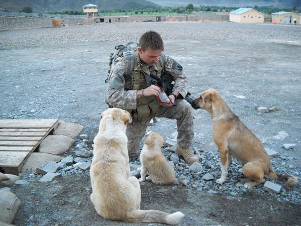 soldados-rescatando-animales-zona-guerra (20)