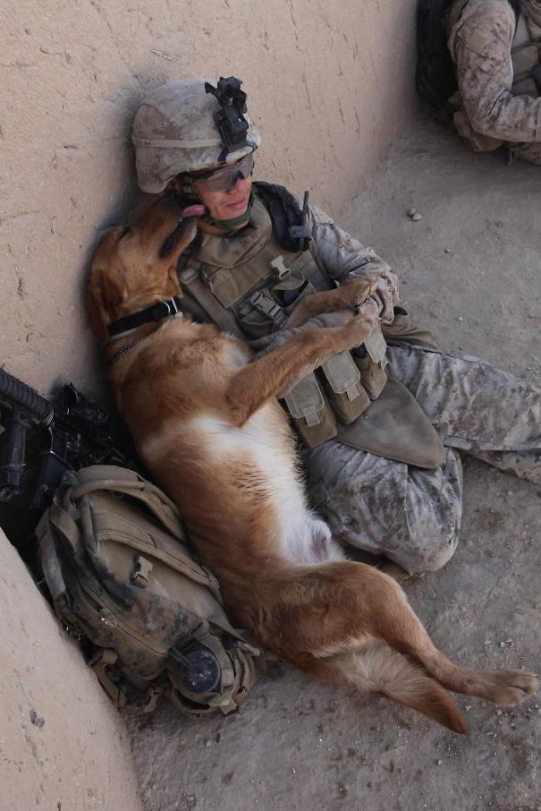 soldados-rescatando-animales-zona-guerra (5)