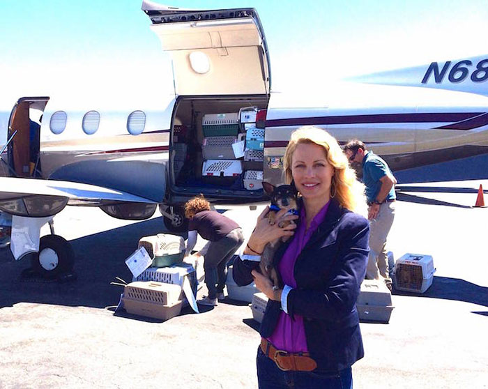 transporte-aereo-perros-refugios-voluntarios-wings-of-rescue (10)