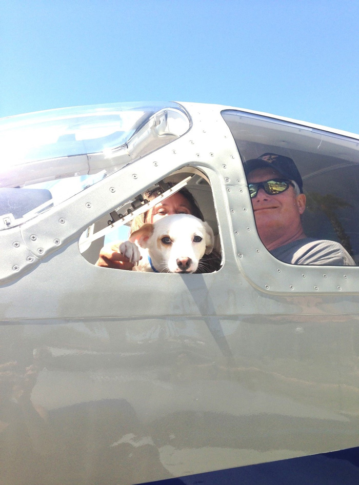 transporte-aereo-perros-refugios-voluntarios-wings-of-rescue (17)