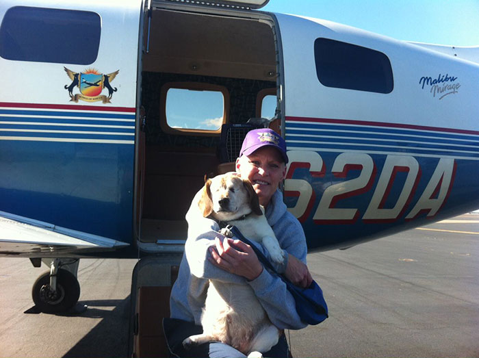 transporte-aereo-perros-refugios-voluntarios-wings-of-rescue (4)