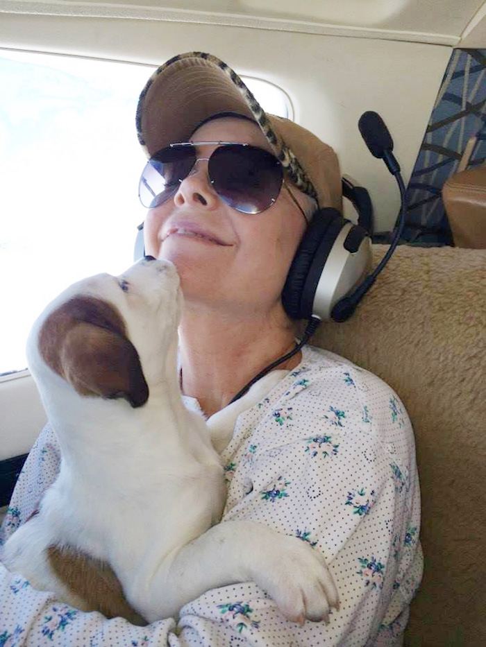 transporte-aereo-perros-refugios-voluntarios-wings-of-rescue (7)