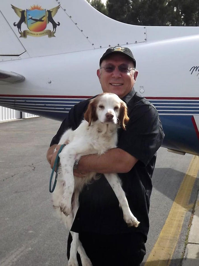 transporte-aereo-perros-refugios-voluntarios-wings-of-rescue (8)