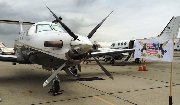 transporte-aereo-perros-refugios-voluntarios-wings-of-rescue (9)
