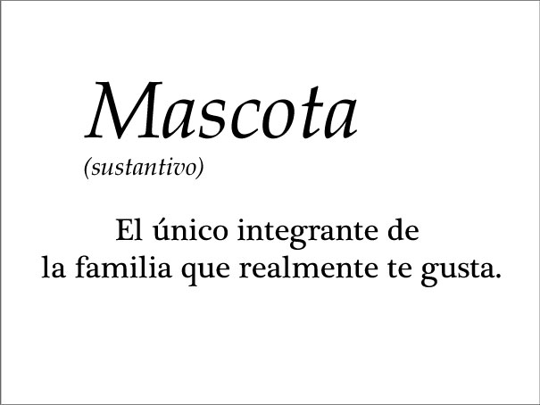 verdadero-significado-de-palabras (16)