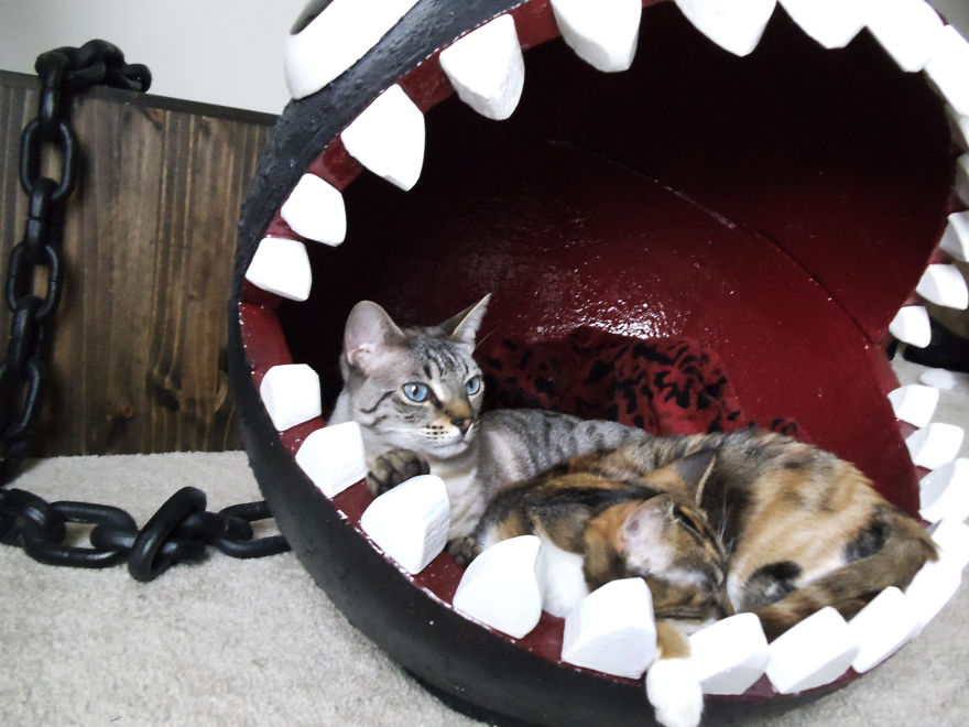 cama-gatos-chompy-super-mario-catastrophicreations (4)