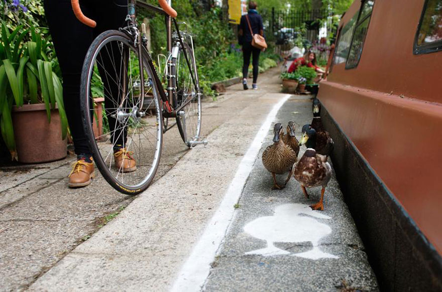 carril-camino-patos-sharethespace-londres (2)