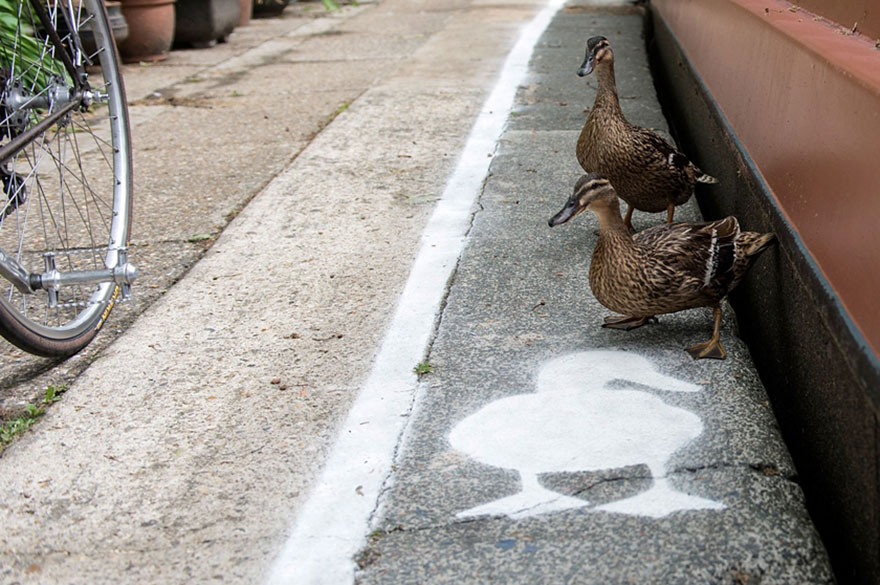 carril-camino-patos-sharethespace-londres (4)