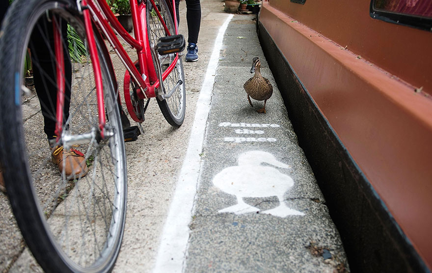 carril-camino-patos-sharethespace-londres (5)
