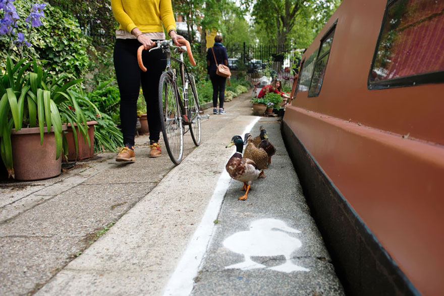 carril-camino-patos-sharethespace-londres (6)