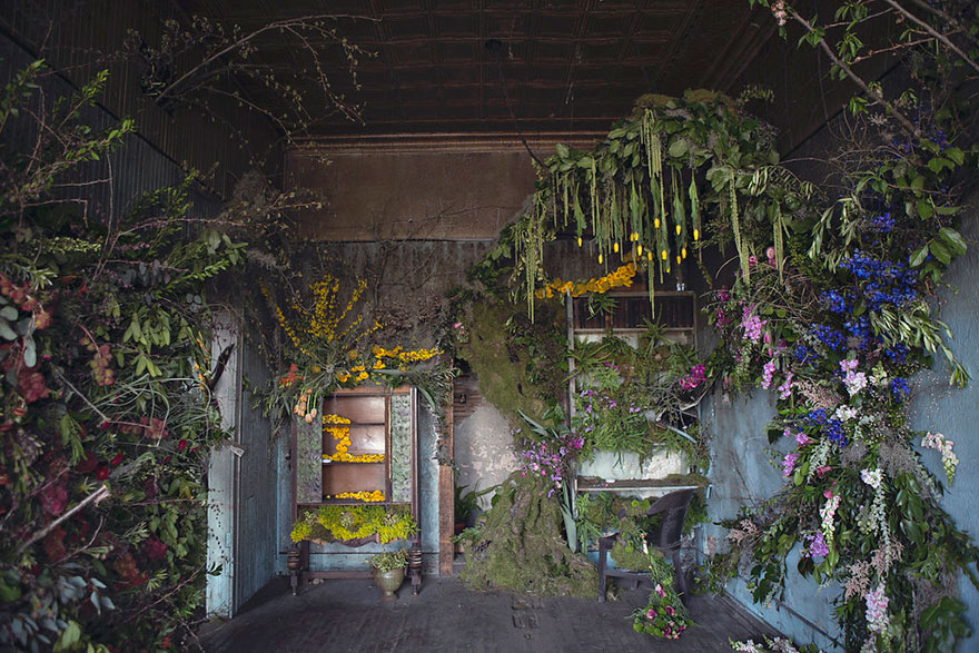 casa-abandonada-jardin-flores-lisa-waud-detroit (12)