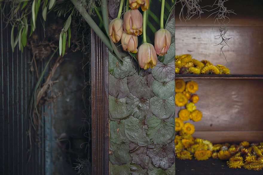 casa-abandonada-jardin-flores-lisa-waud-detroit (13)