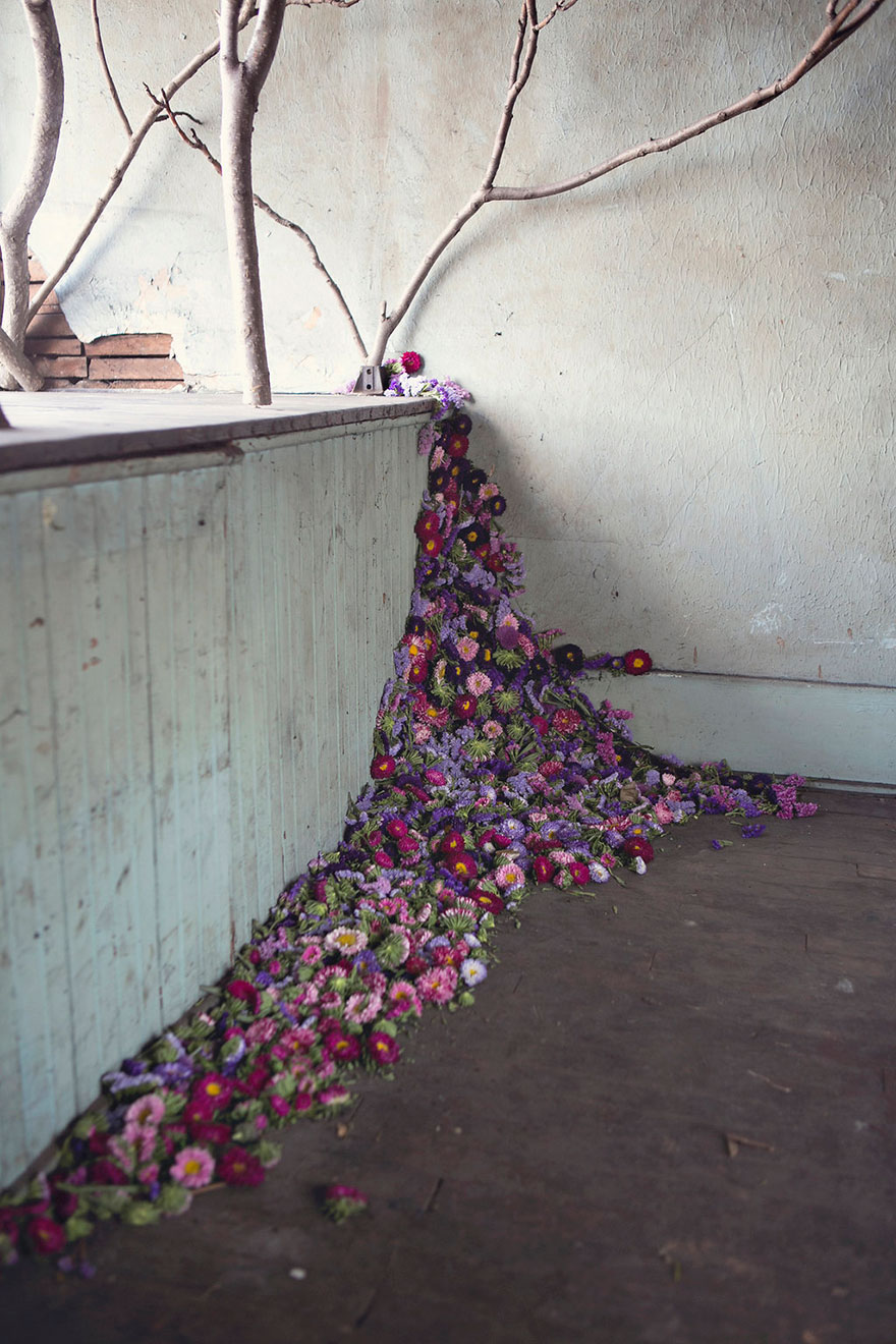 casa-abandonada-jardin-flores-lisa-waud-detroit (15)