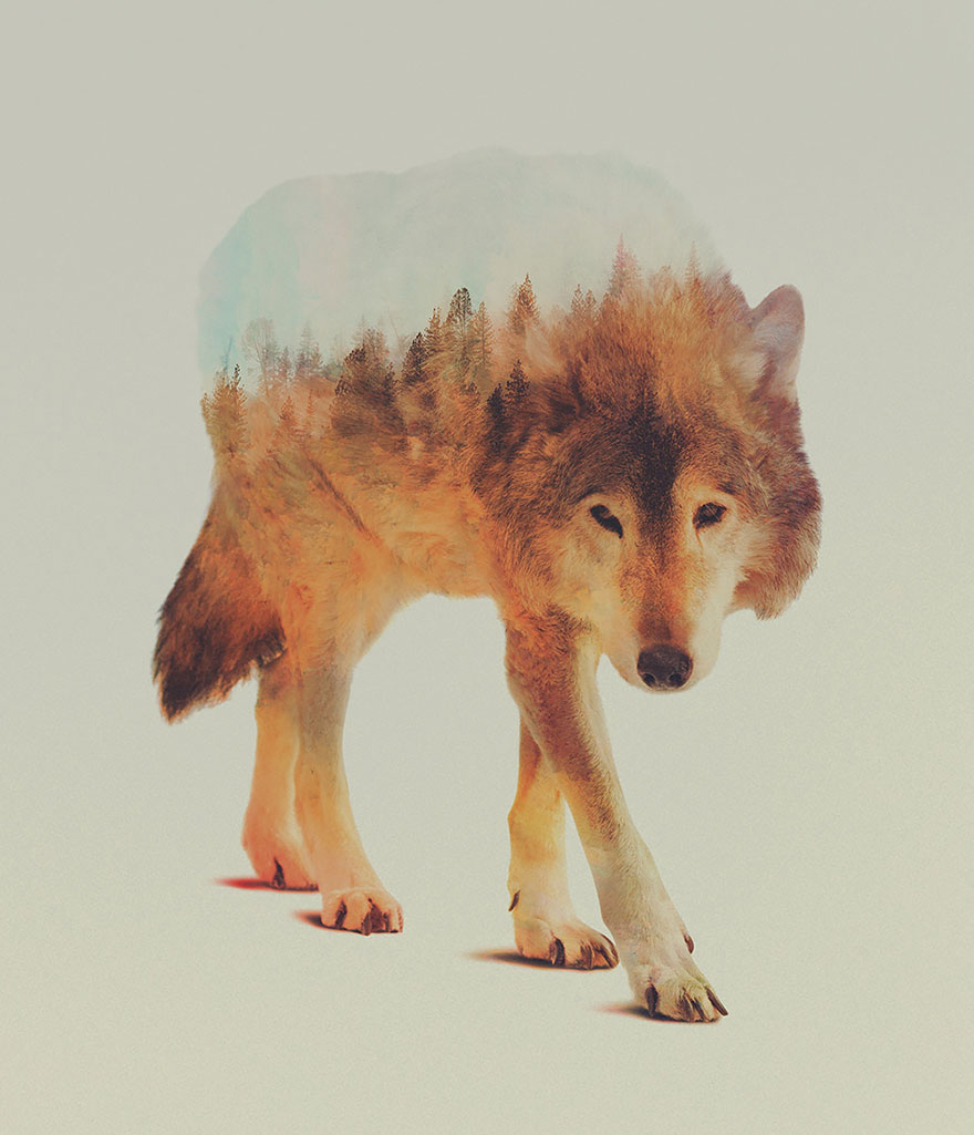 fotos-doble-exposicion-animales-andreas-lie-noruega (1)
