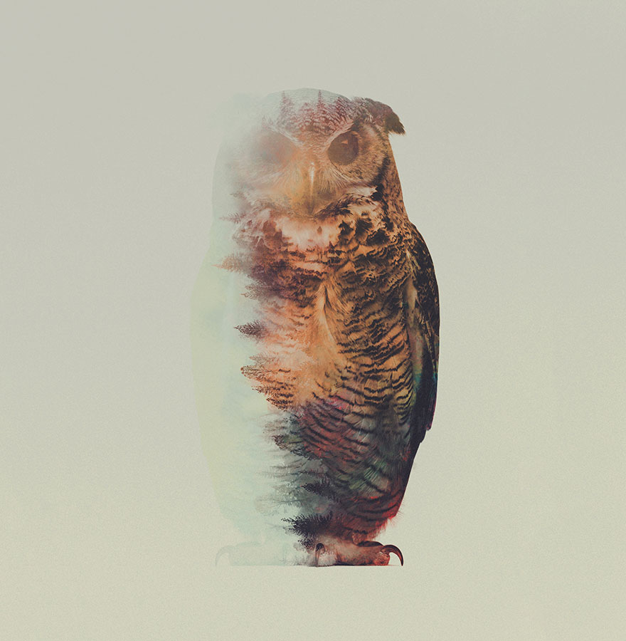 fotos-doble-exposicion-animales-andreas-lie-noruega (10)