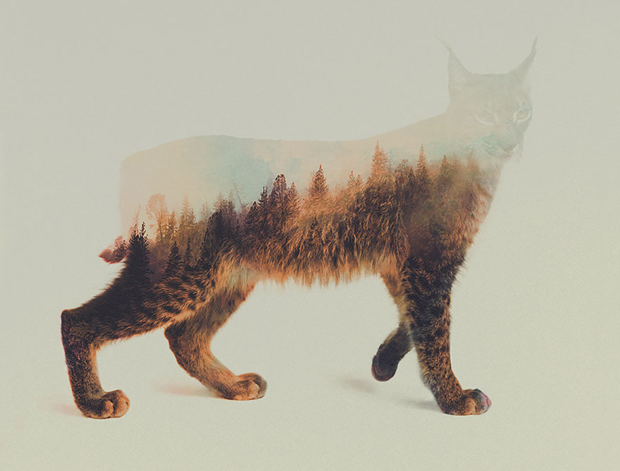 fotos-doble-exposicion-animales-andreas-lie-noruega (11)