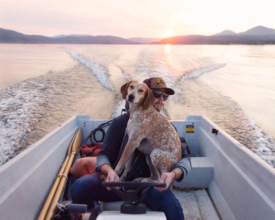 perro-maddie-viajes-moto-theron-humphrey (14)