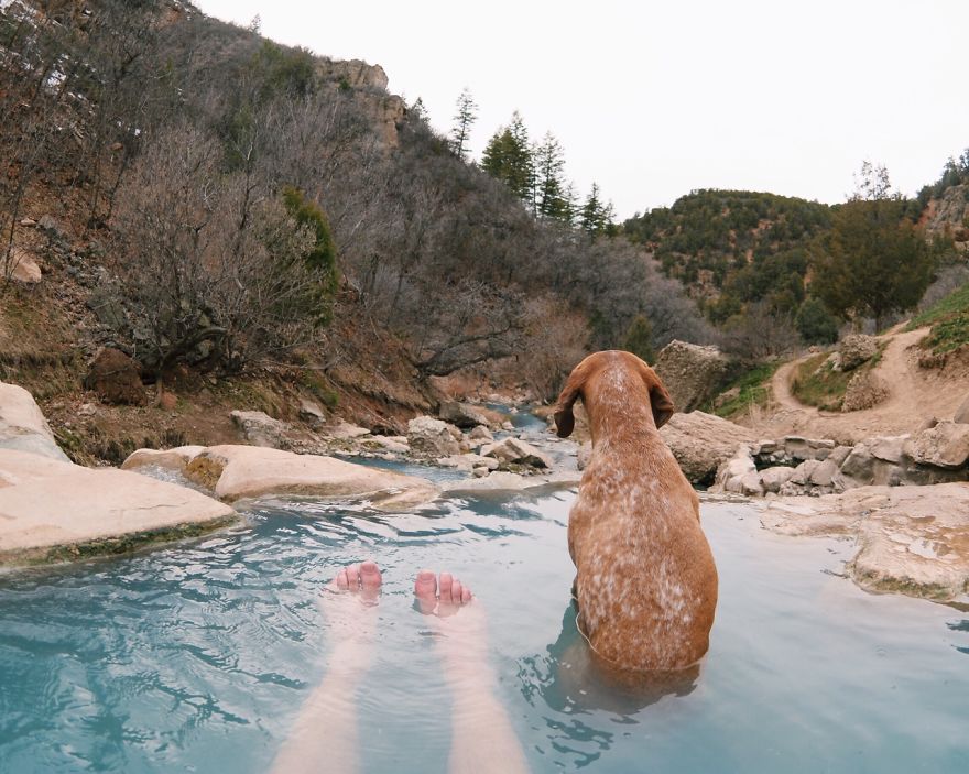 perro-maddie-viajes-moto-theron-humphrey (17)