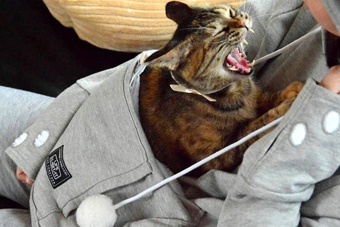 sudadera-bolsillo-gato-mewgaroo-unhabitat (5)