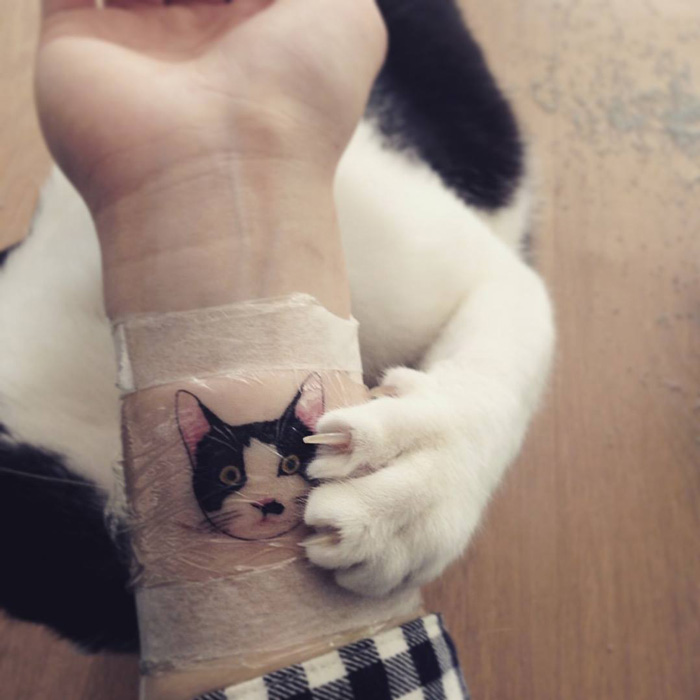 tatuajes-ilegales-gatos-tatuadores-clandestinos-corea-sur (10)