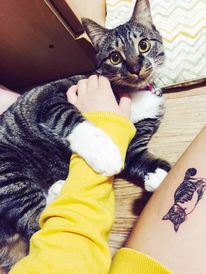 tatuajes-ilegales-gatos-tatuadores-clandestinos-corea-sur (6)