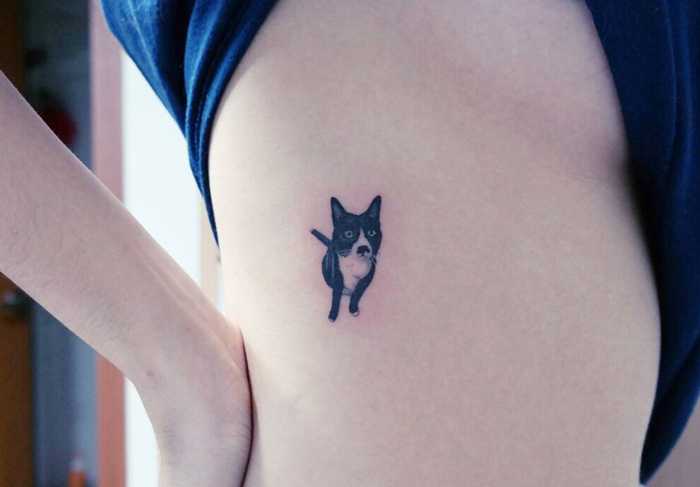 tatuajes-ilegales-gatos-tatuadores-clandestinos-corea-sur (7)