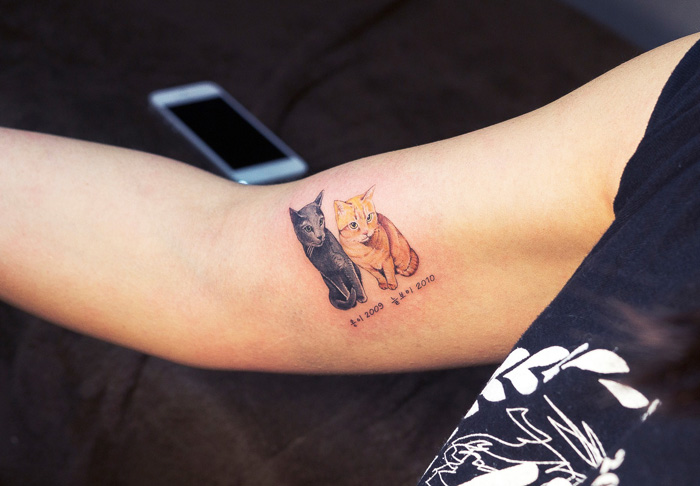 tatuajes-ilegales-gatos-tatuadores-clandestinos-corea-sur (8)
