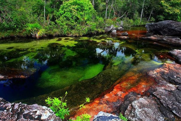 Caño Cristales El Río De 7 Colores