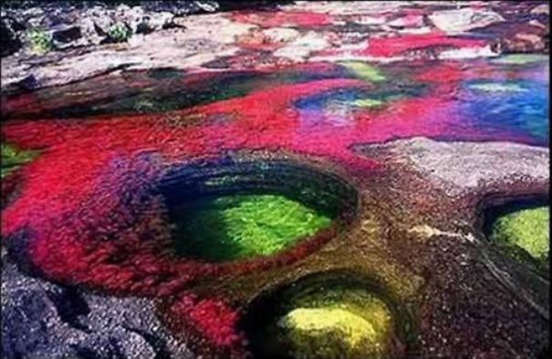 Caño Cristales El Río De 7 Colores